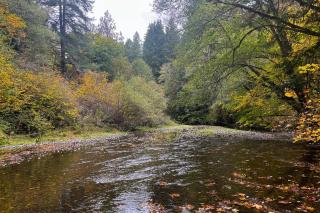 Tahuya River Escape - 8
