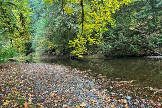 Tahuya River Escape - 8