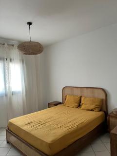 Villa Nouryan l'Azur of Carthage - 7