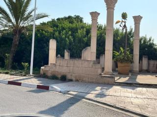 Villa Nouryan l'Azur of Carthage - 4