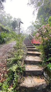 Cabañita del bosque de la cumbre de san Bartolo Milpas Altas - 4