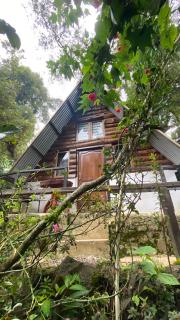 Cabañita del bosque de la cumbre de san Bartolo Milpas Altas - 6