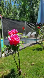 departamentos valle escondido - 8