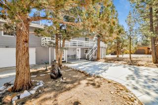 Brewer Escape #609 - 7