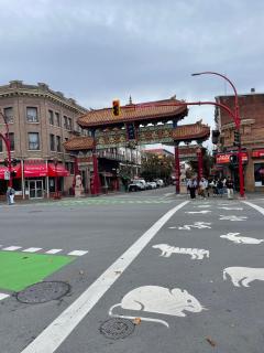 Waterfalls Hotel huge private patio best location - 5