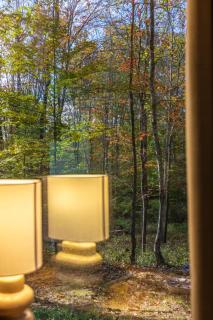 Flora Mirror Cabin Romantic Getaway - 3