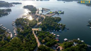 Greens and Gators - For 20ppl - 6