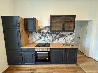 Centrally located large split-level apartment - 3