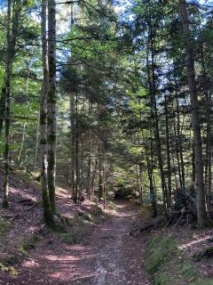 duplex apartment - 5