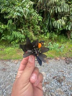 Freestyle House Hostel - 9