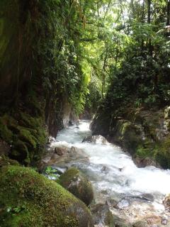 Freestyle House Hostel - 7