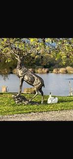 Owls Retreat, Meadowview House - 9