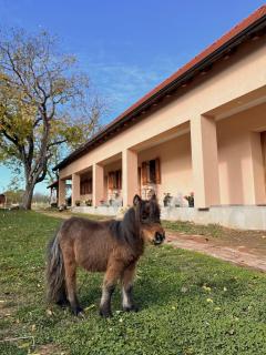 Seoski turizam Jagodić - 0