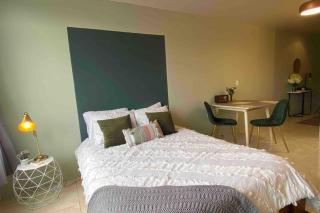 Lovely Loft with volcan view La Fortuna Downtown - 6