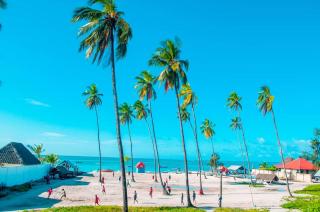 Zazu Beach House - 7