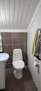 Log cottage by the lake - 2