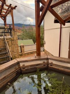 Котедж "ГІРСЬКА РОСА" Яремче Чан Басейн - 7