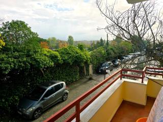 Tranquil Lakeside Tirana - 9