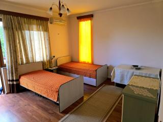 Tranquil Lakeside Tirana - 6