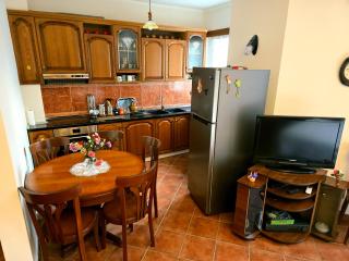 Tranquil Lakeside Tirana - 1