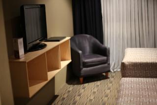 Windsor Castle Hotel - East Maitland - 1