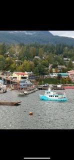 SEAS THE DAY Private House Hot Tub, Pet Friendly, Public Market, Marina Dining, - 6