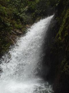 Freestyle House Hostel - 8