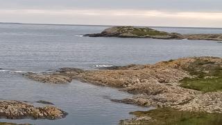 Atlantic beach house - 9