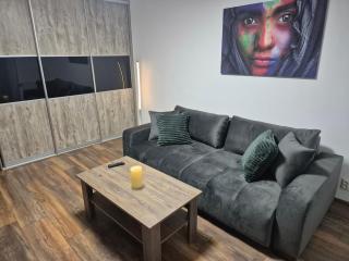 Apartman Centrum Mudronova - 6