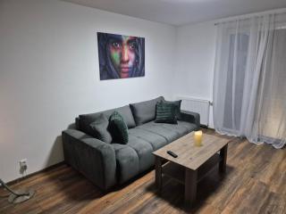 Apartman Centrum Mudronova - 7