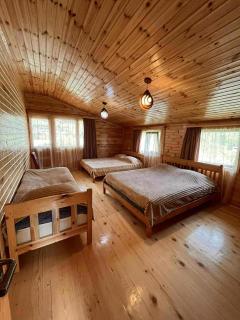 Eco Chalet Mestia - 5