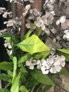 Indian pyramids hotel - 2