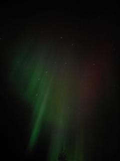 Lapland Forest Lodge - 4