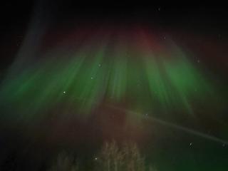 Lapland Forest Lodge - 5