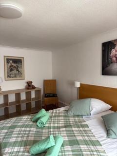 Schriner Hüss - Chambres d'hôtes & Gîtes - 4