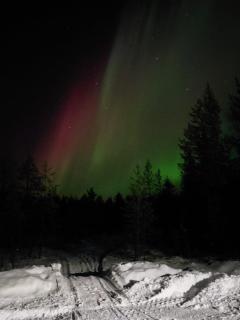 Lapland Forest Lodge - 6