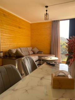 Forest Panorama House Dilijan - 3