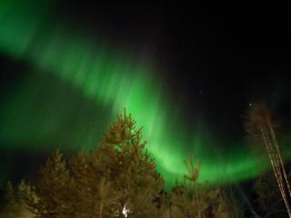 Lapland Forest Lodge - 7