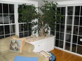 Oceanfront Luxury Home minutes from Boston - 4