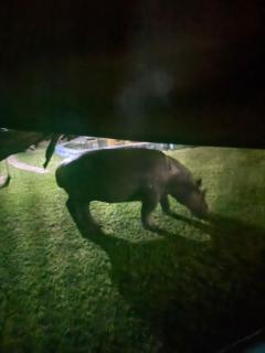 Camp Hogo Kavango - 2