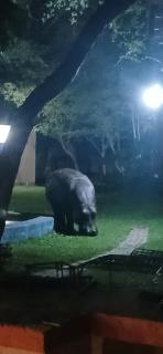 Camp Hogo Kavango - 4