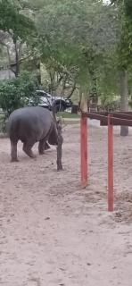 Camp Hogo Kavango - 5