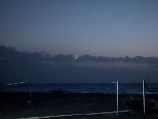 Shtepia Druri Sokol Lulaj - 5