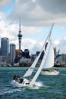 Panoramic City View High-Rise 2BR & Skytower-Adj - 5