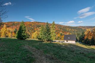 Zielone Wzgórze - 9