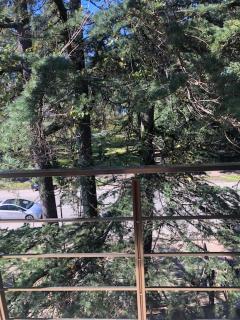 Three Pines - 0