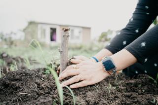 Ekatwam - A place to unite with nature - 9