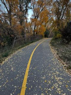 Beaver Creek 2 Bed 2 Bath Condo 1 MIN Walk to Elk Lot - 4