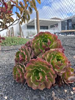 Bio Home La Asomada - 4