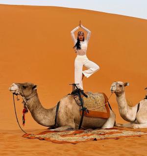 Sahara haven camp - 6